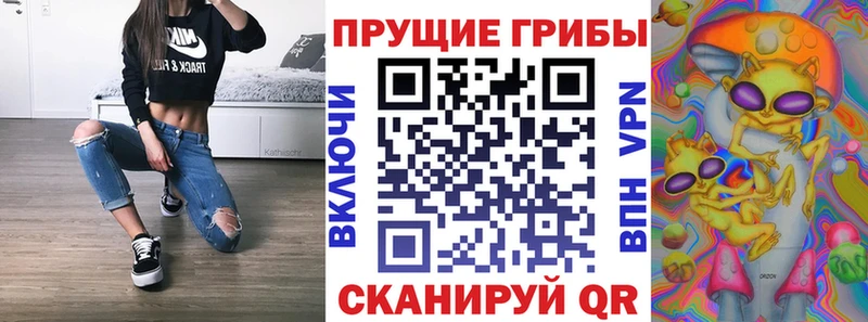 цена наркотик  Дзержинск  Галлюциногенные грибы мицелий 